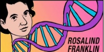 Rosalind Franklin.jpg