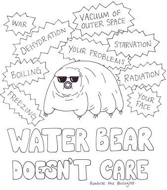 Water Bear Does not Care