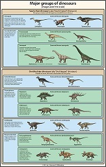 a_simple_guide_to_dinosaur_classification_by_agahnim-small.jpg