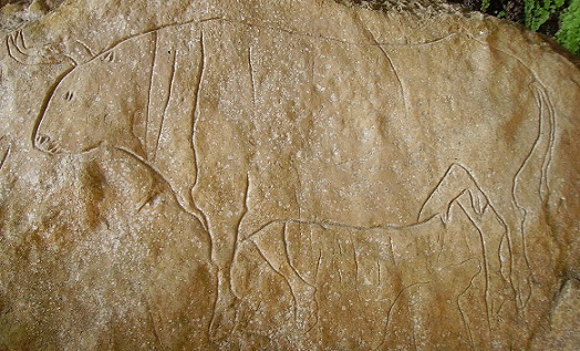 Auroch from Grotta del Romito